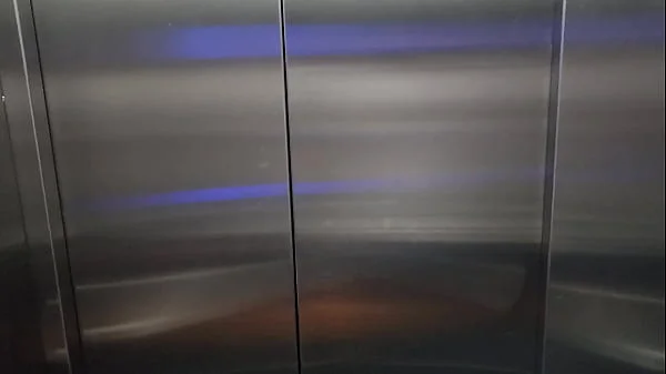 The domiciliary man fucks the woman of an apartment secretly from her husband